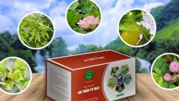 Sản phẩm OCOP Nghệ An ghi dấu ấn đậm nét