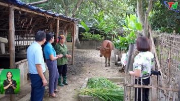 Cần thống nhất về cách tính tỷ lệ hộ nghèo và tỷ lệ nghèo đa chiều giữa xóm, bản và xã trong xây dựng xã đạt Nông thôn mới
