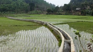 Sở Nông nghiệp và Phát triển nông thôn trả lời cử tri các xã Châu Phong, Châu Hội, huyện Quỳ Châu về sửa chữa các tuyến kênh mương bị sạt lở, hư hỏng