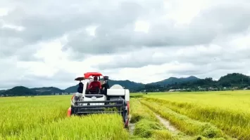 Sở Tài nguyên và Môi trường trả lời cử tri xã Tân Long, huyện Tân Kỳ về vướng mắc giữa Công ty Cổ phần nông nghiệp Sông Con và người dân