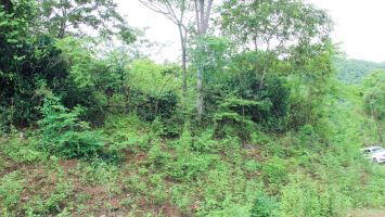 Quan tâm tháo gỡ vướng mắc, sớm triển khai dự án khu tái định cư tại huyện Kỳ Sơn