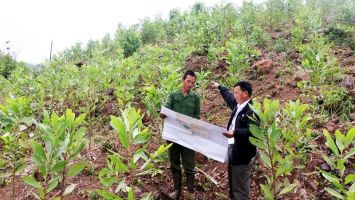 Ủy ban nhân dân tỉnh trả lời cử tri xã Châu Phong, huyện Quỳ Châu về thu hồi phần diện tích đất mà Ban quản lý rừng phòng hộ huyện Quỳ Châu trả về địa phương quản lý để giao đất cho các hộ dân