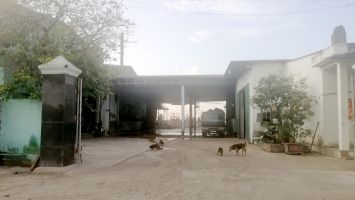 Sở Tài nguyên và Môi trường trả lời cử tri Trần Xuân Dũng, xóm Đức Long, xã Quỳnh Thuận, huyện Quỳnh Lưu về việc gây ô nhiễm môi trường của Công ty TNHH Thủy sản Bắc Miền Trung