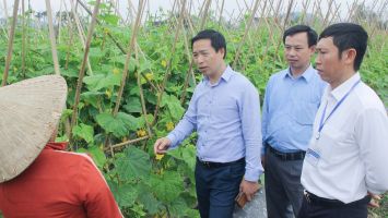 HĐND thị xã Thái Hoà trăn trở nâng cao chất lượng, hiệu quả hoạt động giám sát