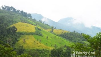 Quan tâm giải quyết dứt điểm tranh chấp địa giới hành chính giữa xã Mường Lống, huyện Kỳ Sơn và xã Nhôn Mai, huyện Tương Dương