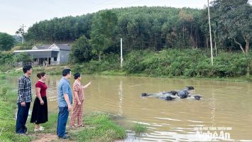 Những nỗ lực và thách thức đặt ra đối với công tác giảm nghèo bền vững ở Nghệ An