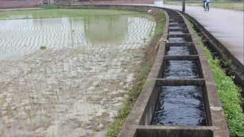 Cử tri xã Nam Thanh kiến nghị tăng hỗ trợ sản xuất nông nghiệp và đầu tư công trình thủy lợi