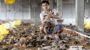 Các địa phương khẩn trương hoàn thiện hồ sơ chính sách hỗ trợ người dân bị ảnh hưởng do thiên tai