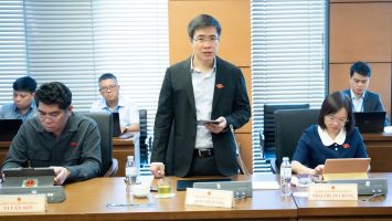 Đồng bộ chính sách quản lý môi trường, khai thác, sử dụng tài nguyên rừng hiệu quả