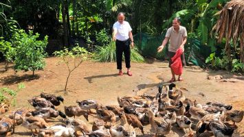 Giảm nghèo từ những mô hình sinh kế