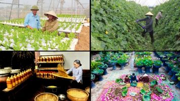 Tiền đề triển khai hiệu quả chương trình mục tiêu quốc gia xây dựng nông thôn mới giai đoạn 2026 - 2035