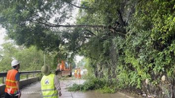 Sở Giao thông vận tải trả lời kiến nghị của cử tri huyện Con Cuông về khắc phục tình trạng sạt lở tại eo Vực Bồng