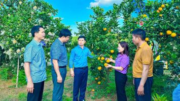 Làm giàu trên quê hương cách mạng