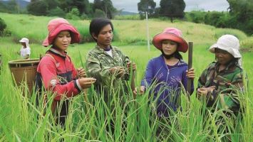 Sở Nông nghiệp và Phát triển nông thôn trả lời kiến nghị cử tri huyện Tương Dương về chính sách hỗ trợ thực hiện Chương trình bố trí ổn định dân cư trên địa bàn tỉnh