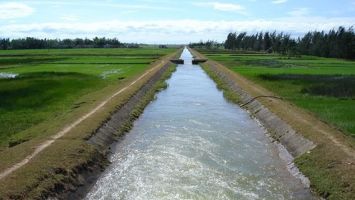 UBND tỉnh trả lời kiến nghị cử tri huyện Hưng Nguyên về việc tăng nguồn hỗ trợ thuỷ lợi phí