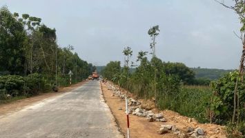 Quan tâm đầu tư xây dựng nâng cấp, cải tạo tuyến Tỉnh lộ 534