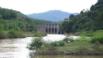 UBND tỉnh trả lời kiến nghị của cử tri huyện Quỳ Châu về hỗ trợ thiệt hại lúa nước do thủy điện Châu Thắng xả lũ