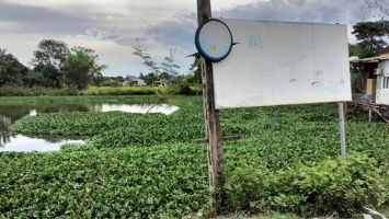 Trả lời kiến nghị của cử tri huyện Nghĩa Đàn về mức thu nghĩa vụ trên đất nhận khoán của Nông trường Cờ đỏ