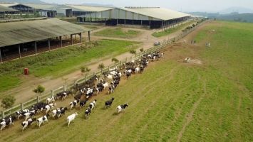 Trả lời kiến nghị cử tri xã Nghĩa Hồng, huyện Nghĩa Đàn (nay là xã  Nghĩa Mai) về hỗ trợ đào tạo nghề, chuyển đổi nghề và tìm kiếm việc làm