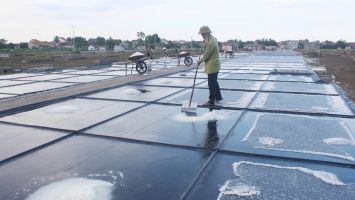 Trả lời kiến nghị cử tri huyện Quỳnh Lưu về khó khăn trong sản xuất muối và giải pháp hỗ trợ phát triển nghề muối