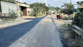 Đường tỉnh 534 xuống cấp: UBND tỉnh phản hồi kiến nghị cử tri Anh Sơn, vạch rõ lộ trình đầu tư