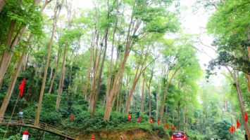 Phát huy tiềm năng, xây dựng Tam Quang vững mạnh toàn diện