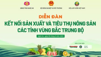 TRỰC TIẾP: Kết nối chuỗi giá trị nông sản vùng Bắc Trung bộ
