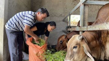 HĐND tỉnh sẽ giám sát việc thực hiện Chương trình Mục tiêu quốc gia giảm nghèo bền vững trên địa bàn tỉnh Nghệ An