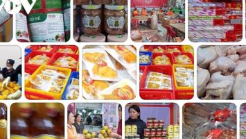 Ứng dụng khoa học công nghệ, hướng tới nông thôn mới hiện đại, thông minh