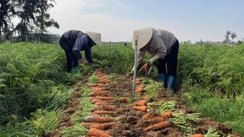 Nghệ An thúc đẩy xây dựng nông thôn mới theo hướng bền vững và hiện đại
