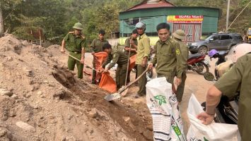 Nghệ An vận chuyển vật liệu xây nhà cho người dân