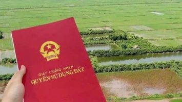 Cử tri Nam Thanh kiến nghị đẩy nhanh cấp giấy chứng nhận quyền sử dụng đất nông nghiệp