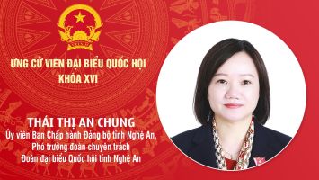 Chương trình hành động của bà Thái Thị An Chung - ứng cử viên ĐBQH khóa XVI tỉnh Nghệ An