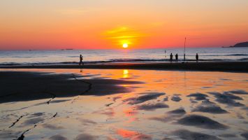 Giữa 2 lần mặt trời