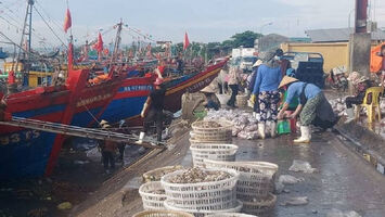 Chính sách hỗ trợ người lao động và người sử dụng lao động gặp khó khăn do đại dịch Covid-19