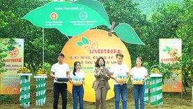 'Rào cản' khiến sản phẩm Nghệ An khó bán được hàng trên sàn thương mại điện tử