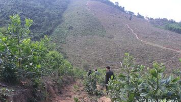 Tạo quỹ đất giao cho nhân dân sản xuất