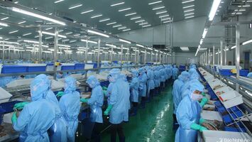 Nghệ An: Thu ngân sách nhà nước 8 tháng ước đạt hơn 12.296 tỷ đồng