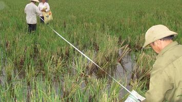 Chuyển động sau phiên giải trình của Thường trực HĐND tỉnh về cấp “bìa đất”