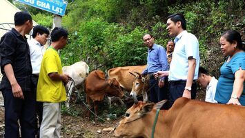 Chi tiết tiêu chí hộ nghèo, hộ cận nghèo theo chuẩn mới giai đoạn 2022 - 2025