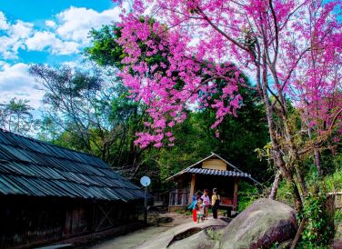 Ảnh: fb Nhat Thanh
