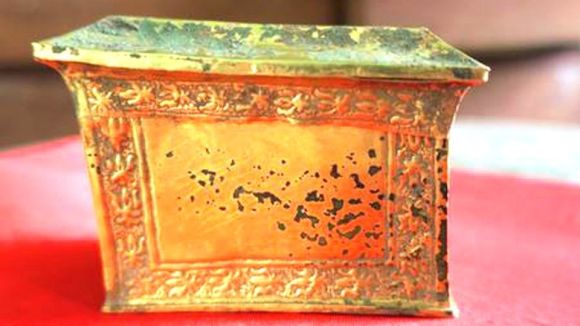 Đóa Hoa Vàng Nở Giữa Lòng Đất Mẹ