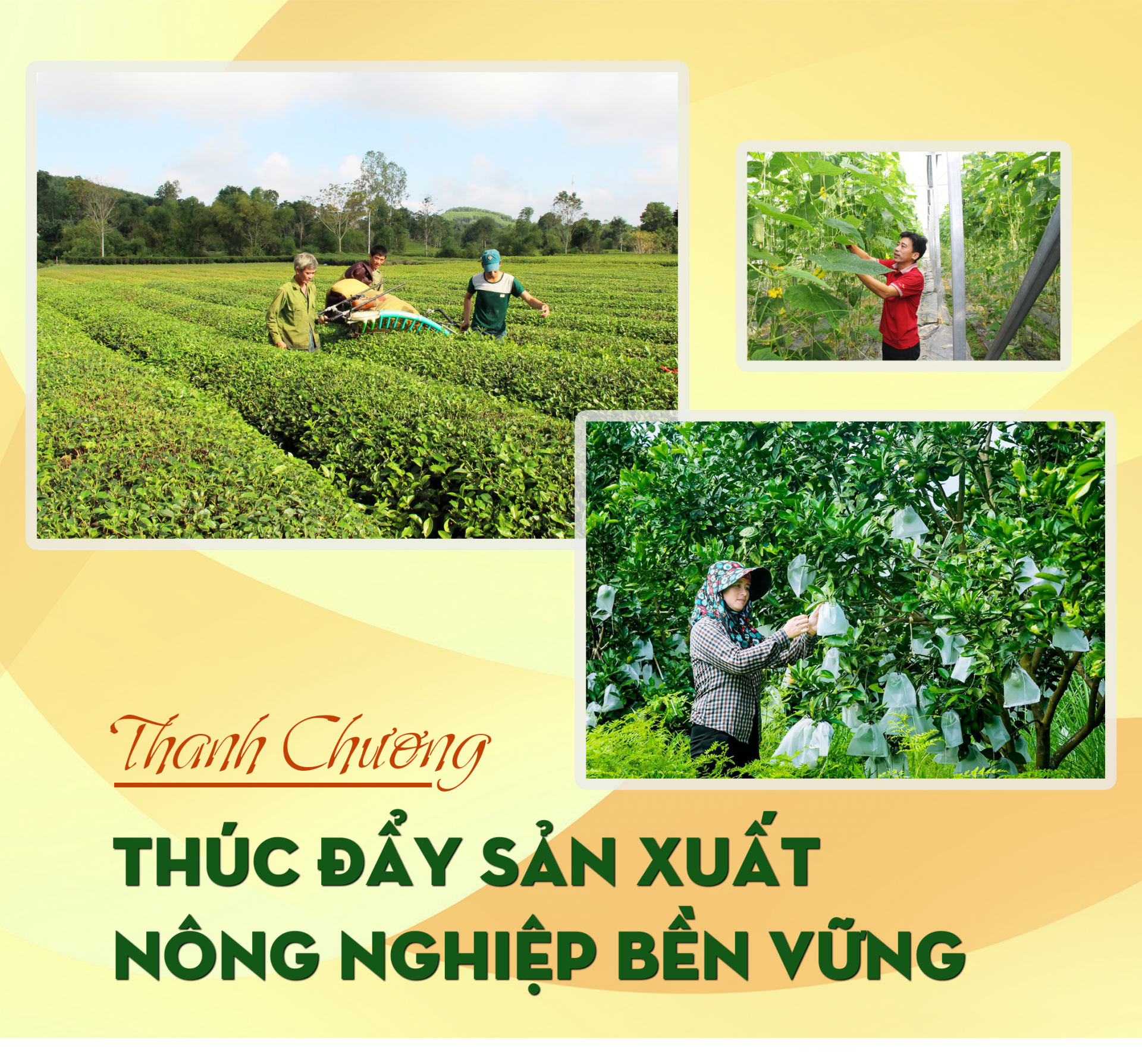 Thanh-Chuong-thuc-day-nong-nghiep-ben-vung-Anhtieude-1.png