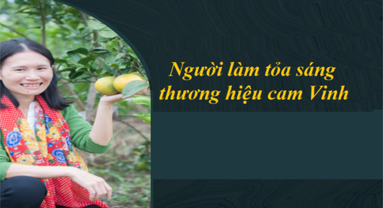 Hành trình đưa đặc sản cam Vinh ra thế giới