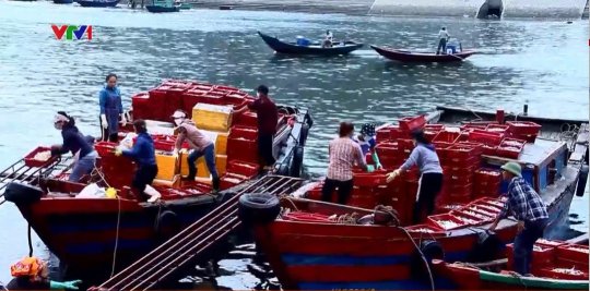 Rạng sáng ở bến cá Nghi Thủy - Thị xã Cửa Lò