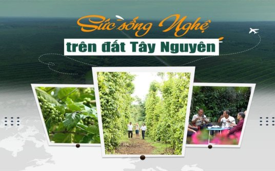 Sức sống Nghệ trên đất Tây Nguyên