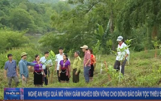 Nghệ An - Hiệu quả mô hình giảm nghèo bền vững cho đồng bào dân tộc thiểu số